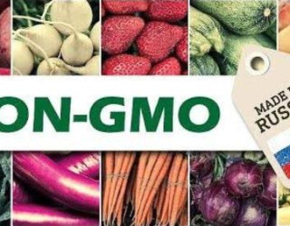 Important Videos - non GMO