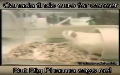 Cheap cure for cancer