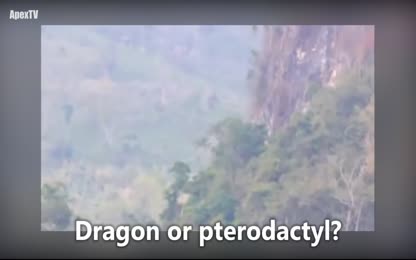 Dragon Caught on Tape in China 