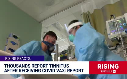 Joe Rogan Pharma DESPERATE To Blame Vaccine Injury On ANYTHING ELSE- 16K- Report Tinnitus After Jab