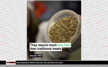 The WEF is HIDING bugs in these foods and you dont even know it Redacted with Clayton Morris