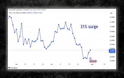 No More Price Manipulation- Silver Will Make You Very Rich In 2024 - Andy Schectman