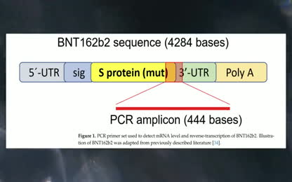 censored-study-covid-shots-permanently-alter-dna-of-vaxxed-amp-offspring-pfizer and moderna