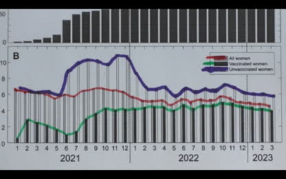 Birth rates down after vaccine - corona