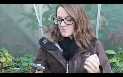 Situation in Europe November 2025 (Part 2)