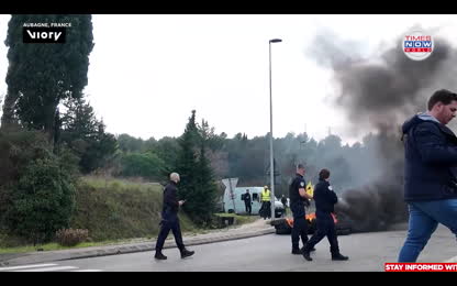 FRANCE ERUPTS_ Sheep Block Roads In Protest Against EU&ndash;Mercosur Trade Deal _ Times Now World