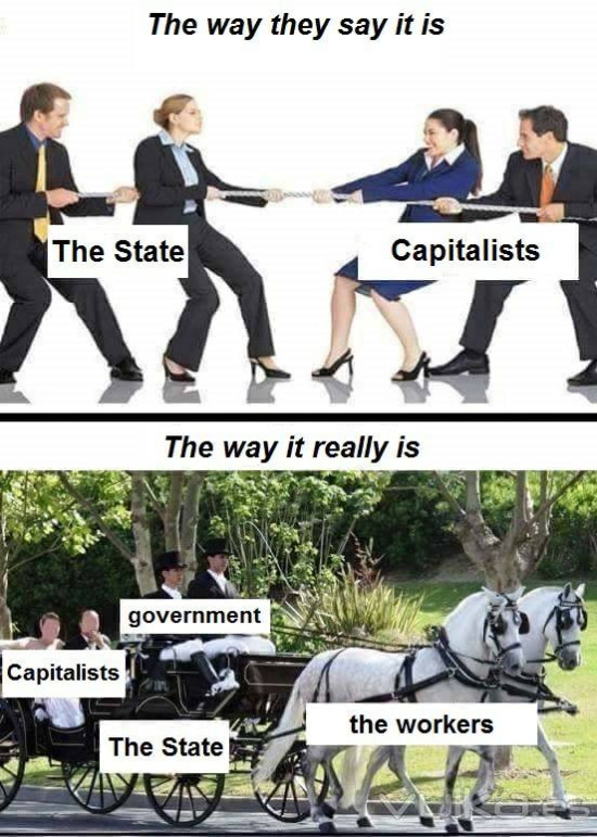 Important Videos - capitalysm