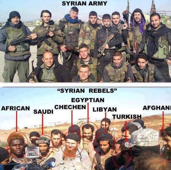 Important Videos - american terrorists