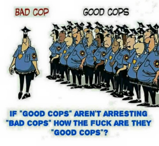 Important Videos - Bad cops