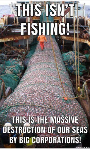 Important Videos - fishing