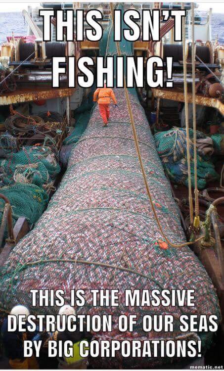 Important Videos - fishing