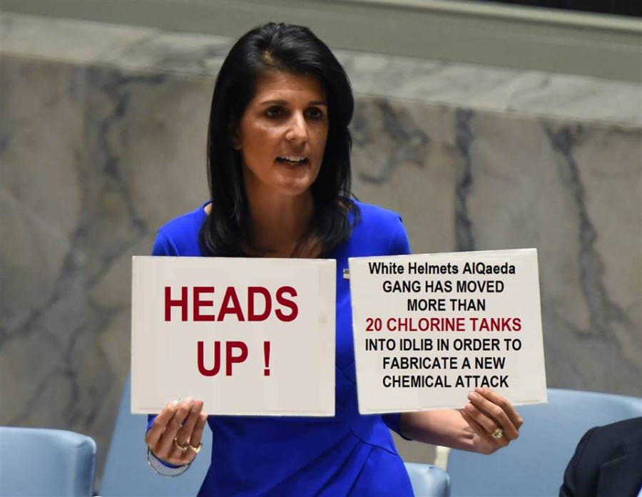Important Videos - Niki War Criminal Haley