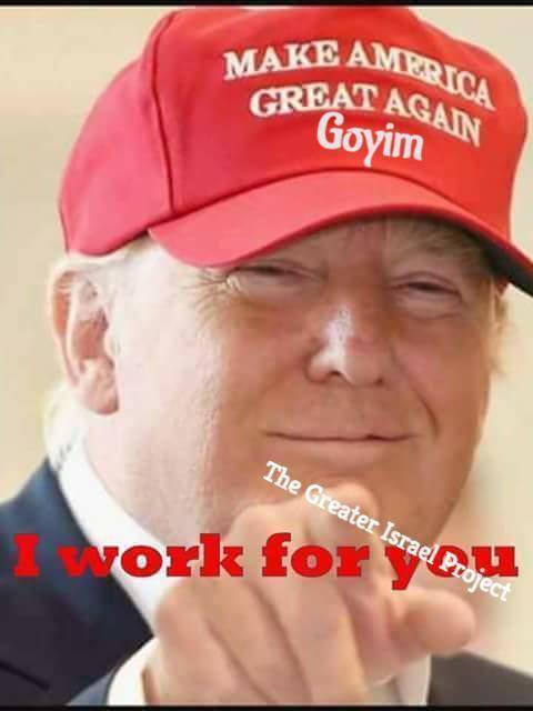 Important Videos - Trump