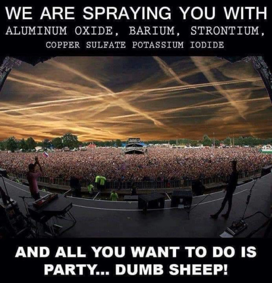 Important Videos - dumb sheep