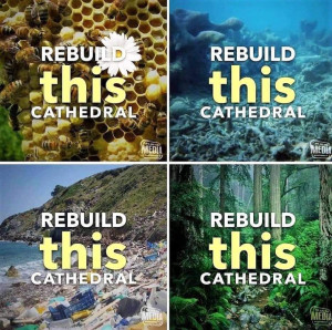 Important Videos - rebuild nature