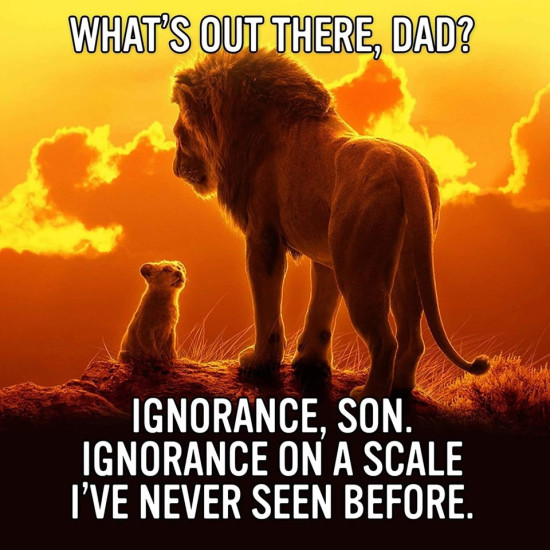 Important Videos - ignorance