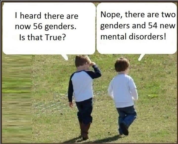 Important Videos - two genders