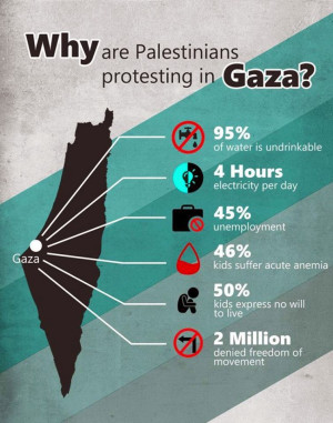 Important Videos - Palestine.jpg