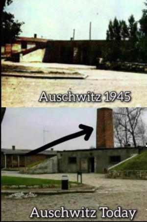 Important Videos - Auschwitz