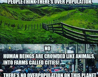 Important Videos - overpopulation is fake