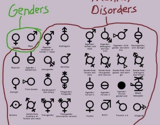 Important Videos - Genders