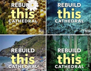 Important Videos - rebuild nature